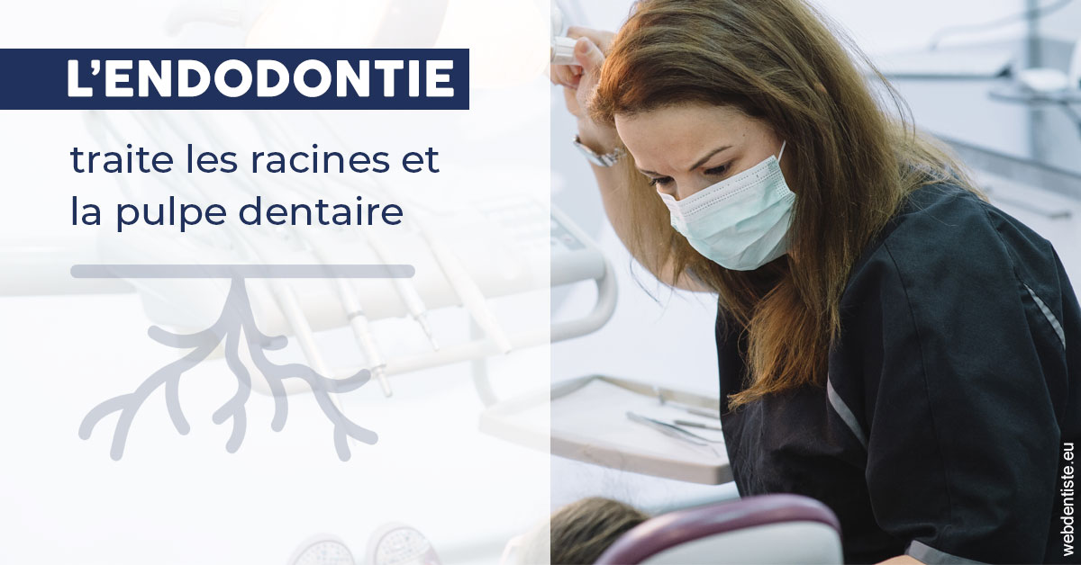 https://www.cabinetdentairemistralmazarin.fr/L'endodontie 1
