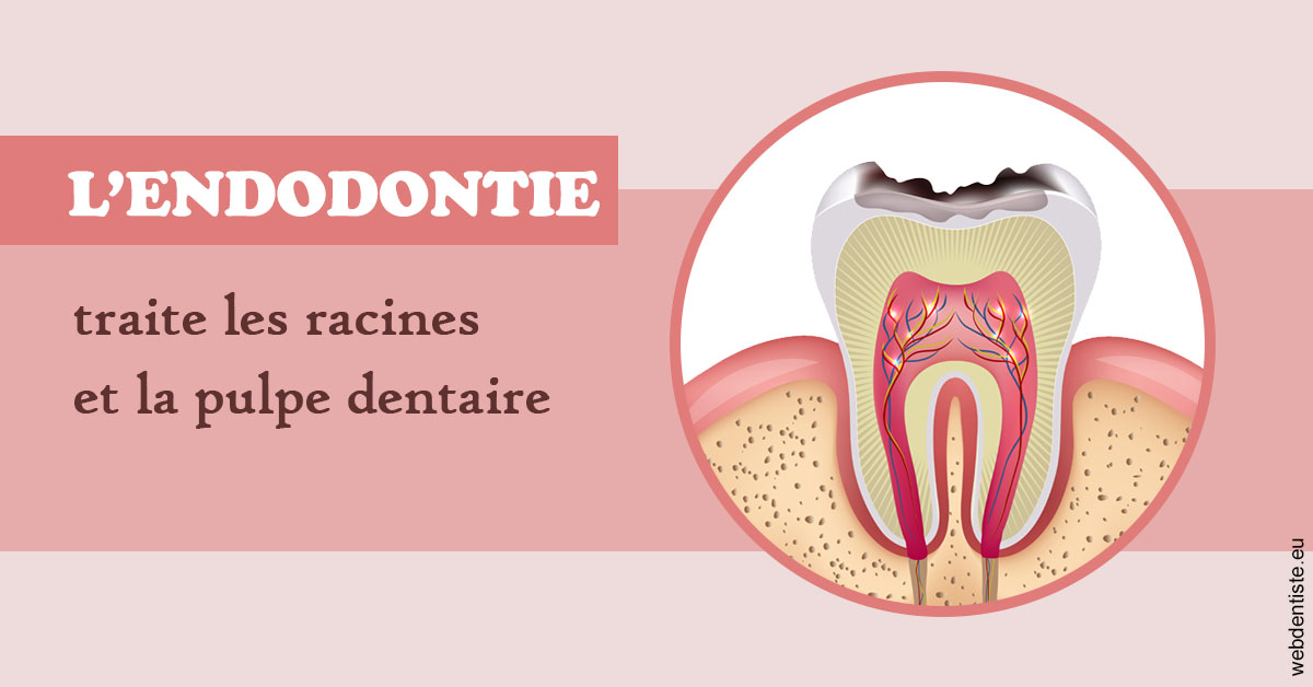 https://www.cabinetdentairemistralmazarin.fr/L'endodontie 2