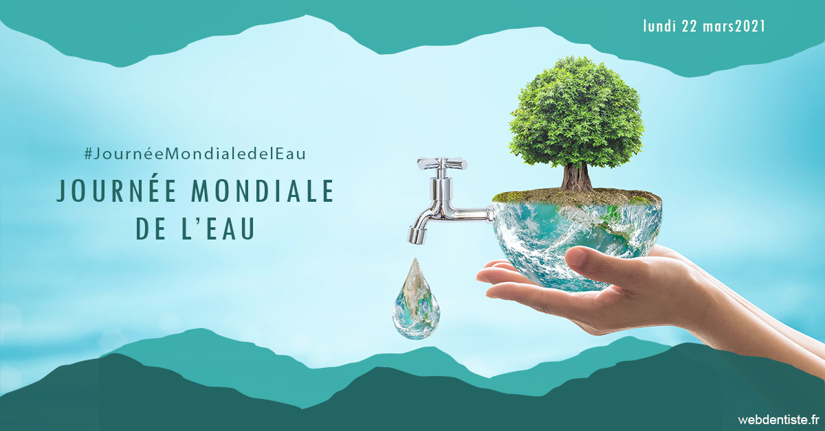 https://www.cabinetdentairemistralmazarin.fr/Journée de l'eau 1
