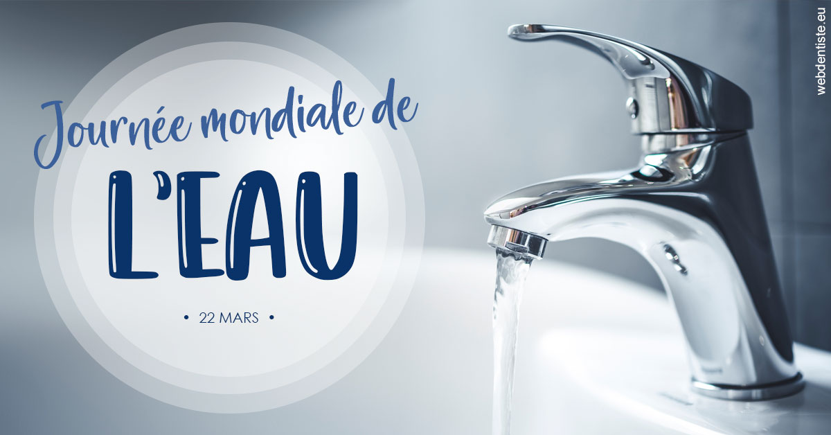 https://www.cabinetdentairemistralmazarin.fr/La journée de l'eau 2